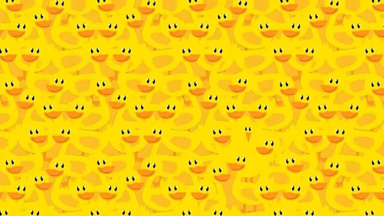 Optical Illusion: Find the Chicken among Ducks in 7 Seconds!