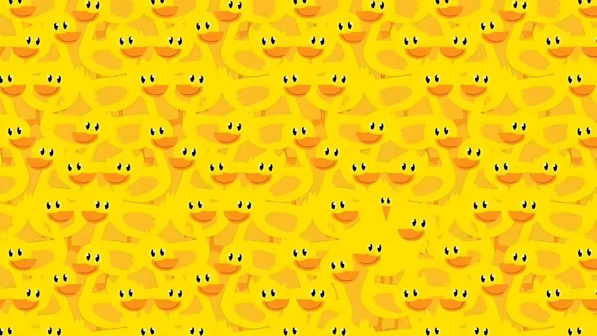 Optical Illusion: Find the Chicken among Ducks in 7 Seconds!