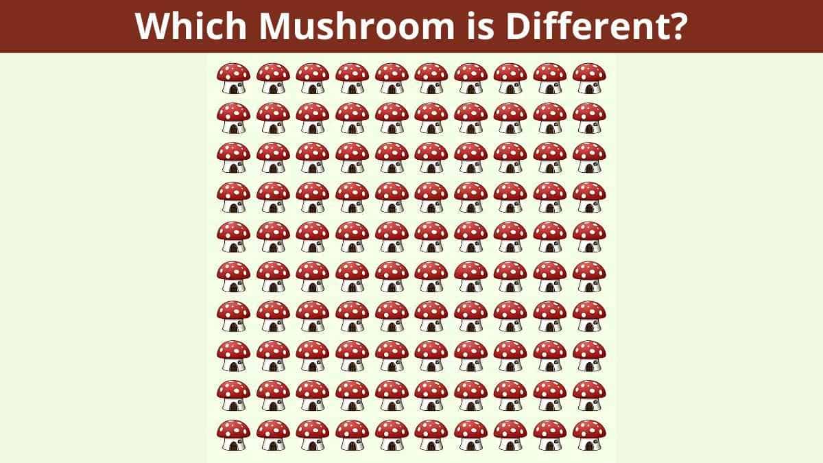 Optical Illusion IQ Test: Find the Odd Mushroom in 7 Seconds!