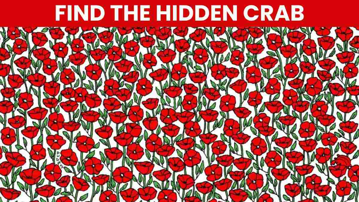 Optical Illusion: Only People With IQ Above 135 Can Spot The Hidden Crab In 5 Seconds!