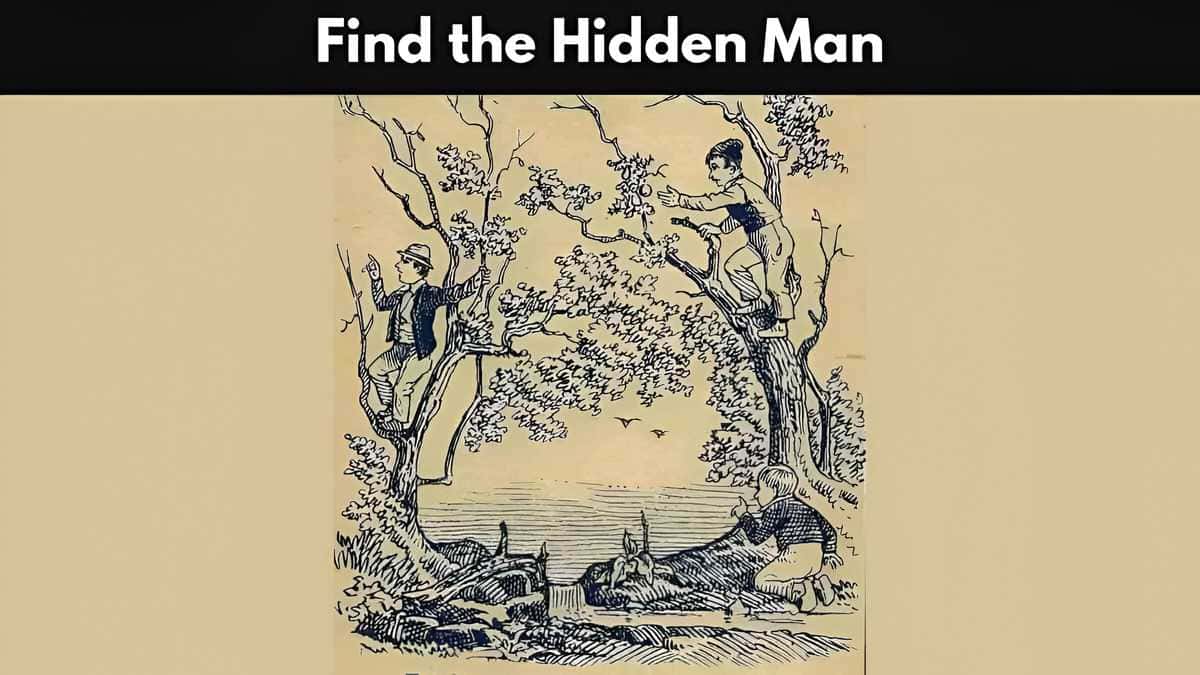 Optical Illusion: You Have a High IQ and Sharp Eyes if You Can Find the Hidden Man in 5 Seconds!