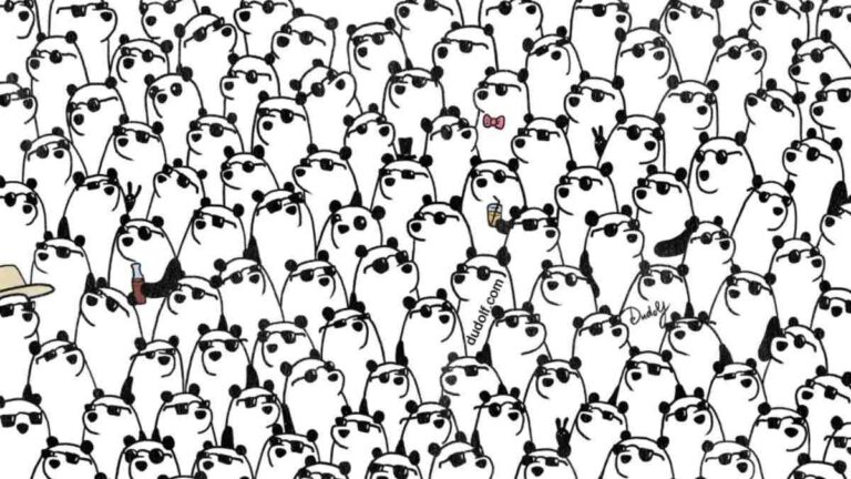 Picture Puzzle IQ Test: Can You Spot Three Pandas Without Accessories In 5 Seconds?