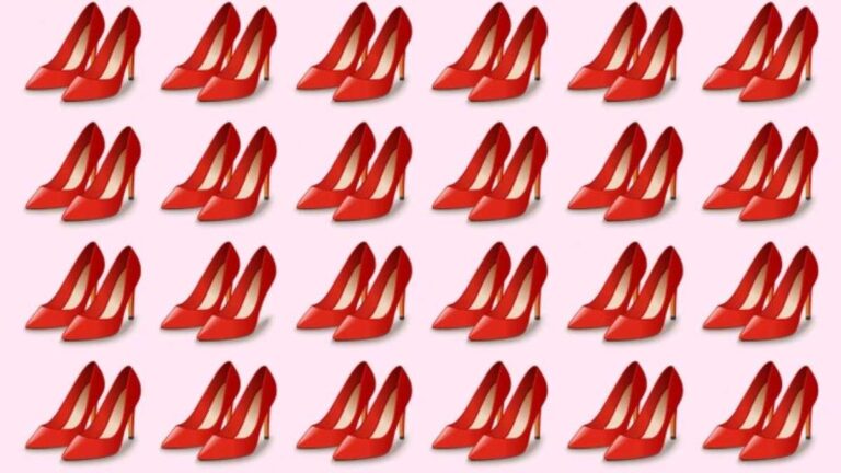 Picture Puzzle IQ Test: Only 1% With Hawk’s Eye Vision Can Spot The Odd Heels In 5 Seconds!