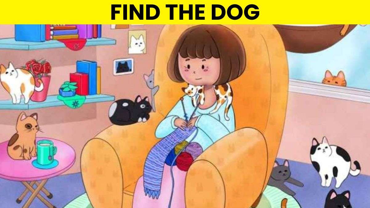 Picture Puzzle IQ Test: Only 1% With Sharp Vision Can Spot The Dog Hidden Among Cats In 5 Seconds!