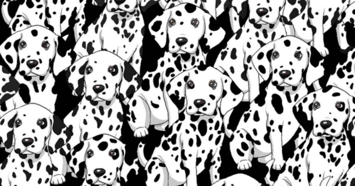 Picture Puzzle IQ Test:  Only the Sharpest Minds Can Find the Dog Without Spots in 5 Seconds!