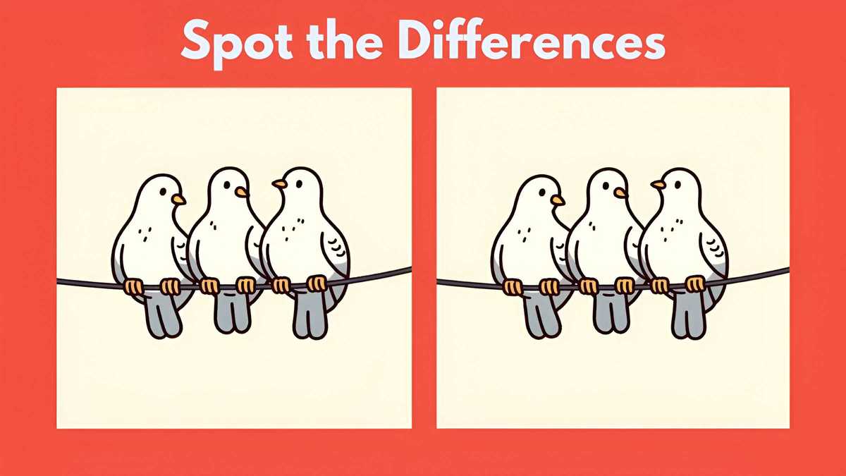 Spot 3 differences between the pigeon pictures in 12 seconds!