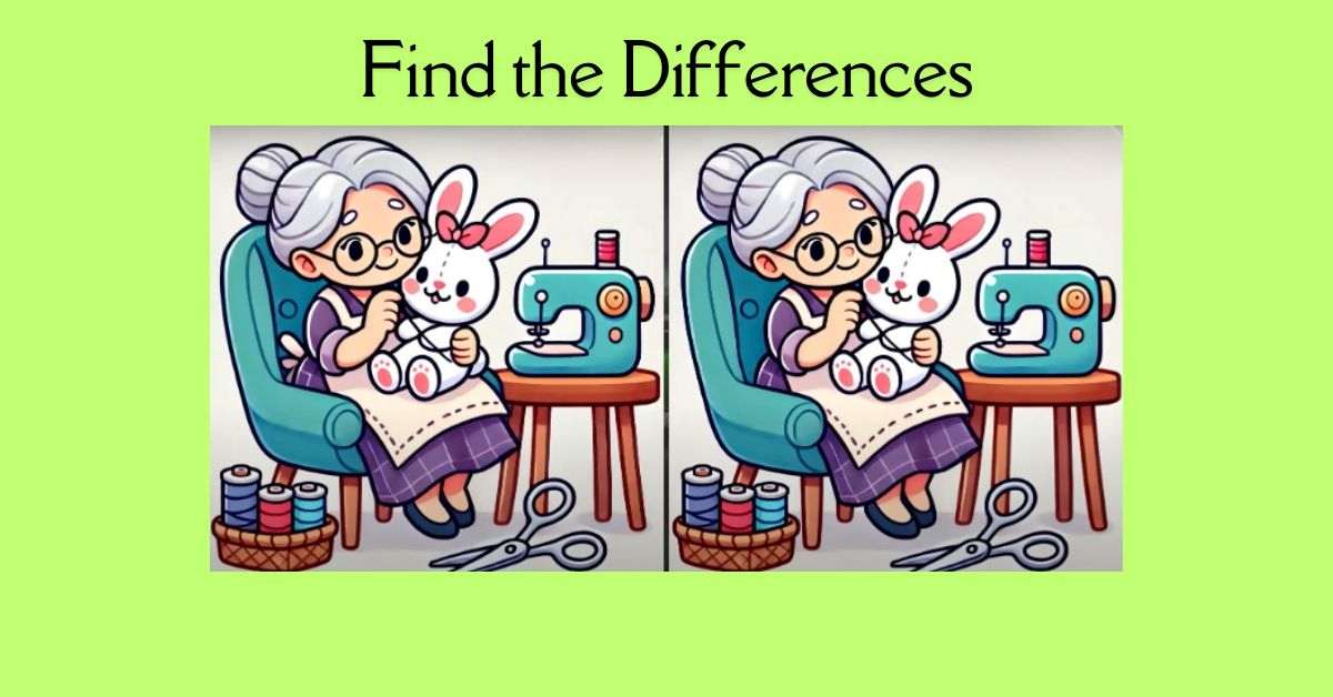 Spot the 3 Differences in Lady Sewing Teddy Bear– Beat the 29-Second Challenge!