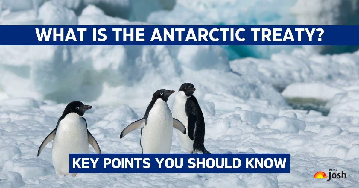 What is the Antarctic Treaty? What You Need to Know