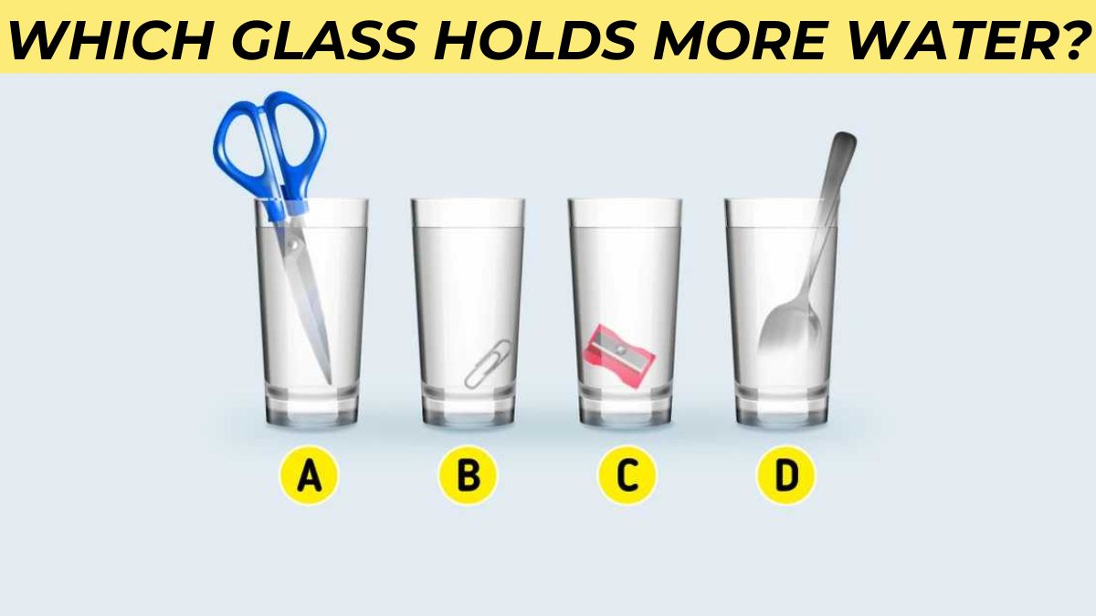 Brain Teaser to Test Your IQ: Which Glass Holds More Water? Only those with 140+ IQ can answer in 5 seconds!