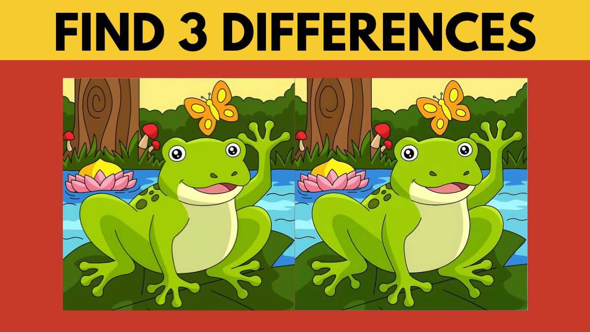 Can You Spot 3 Differences Between the Frog Pictures in 15 Seconds?