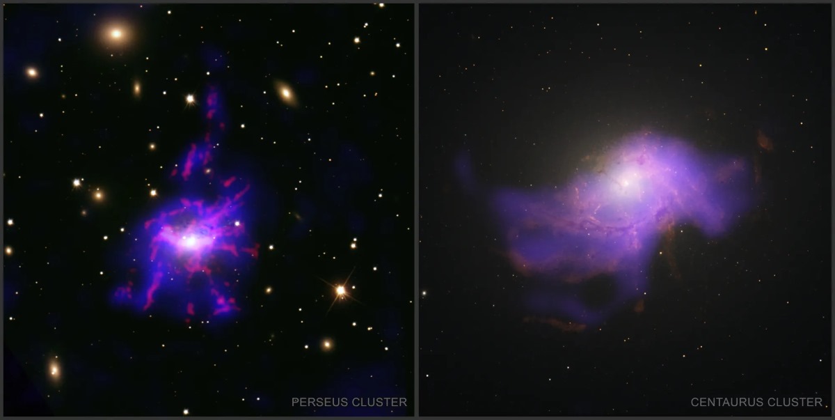 How Black Hole’s Cook for themselves? NASA Reveal the Chandra X-ray Shows