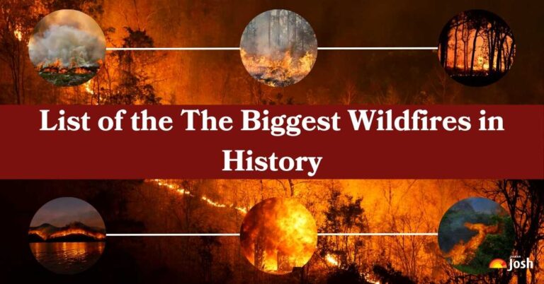 List of Top 5 Largest Wildfires in History