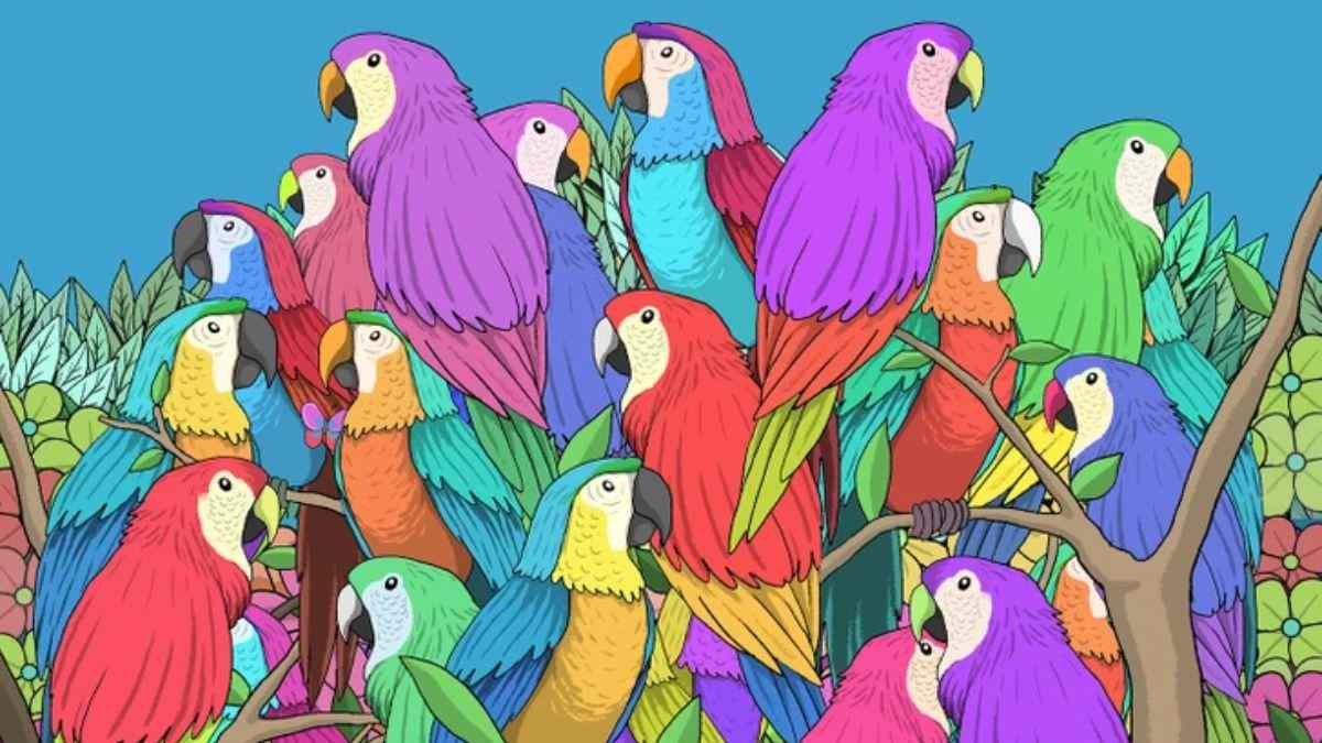 Optical Illusion Challenge: Only People With IQ Above 130 Can Spot The Butterfly Hidden Among Parrots In 5 Seconds!