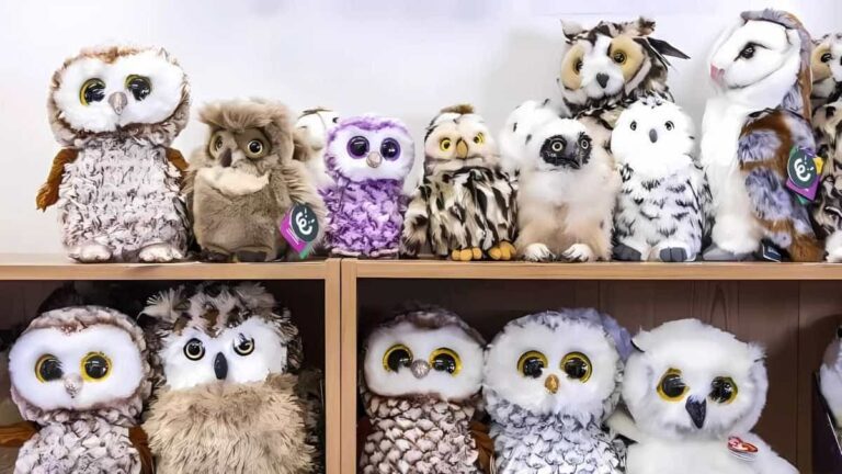 Optical Illusion: Find the Real Owl in 5 Seconds!