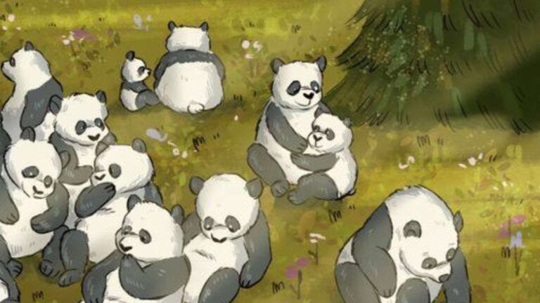 Optical Illusion IQ Test: 98% Fail to Spot The Raccoon Hidden Among Pandas! Can You?