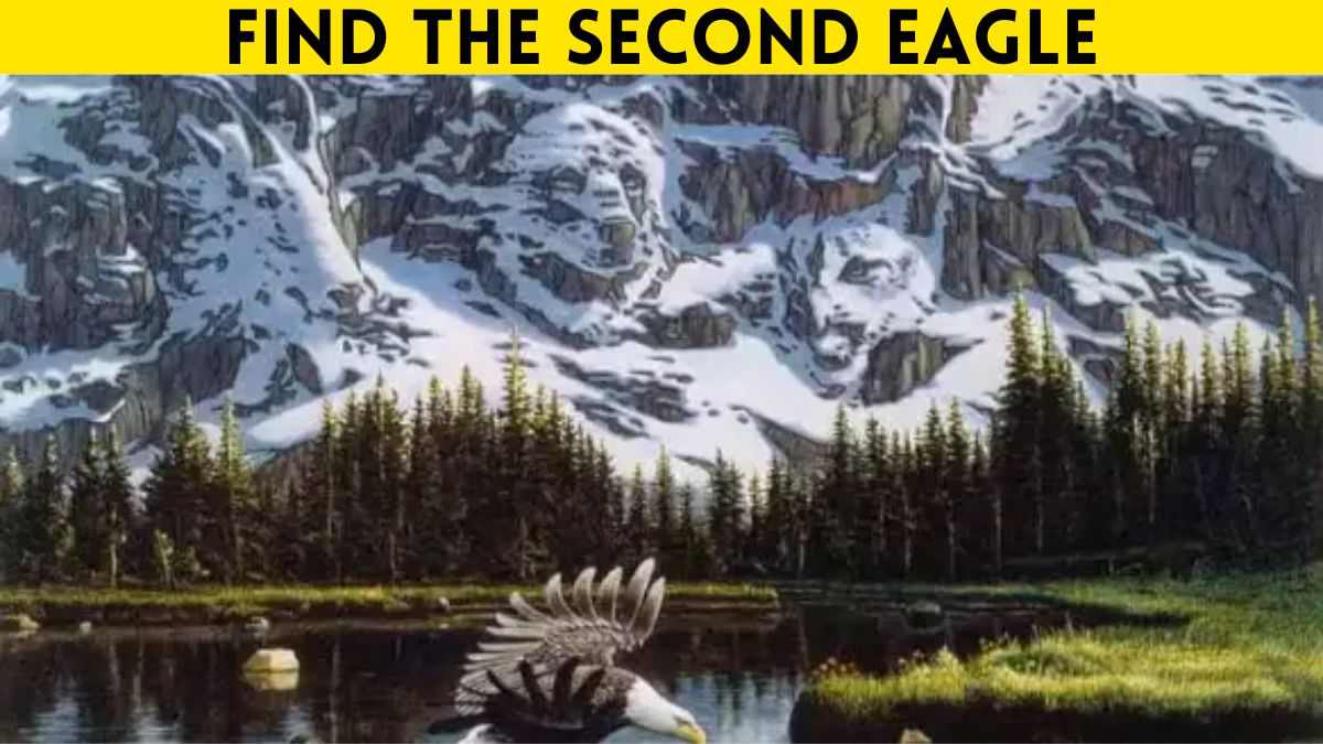 Optical Illusion IQ Test: Can You Spot The Second Eagle In This Picture In 5 Seconds?