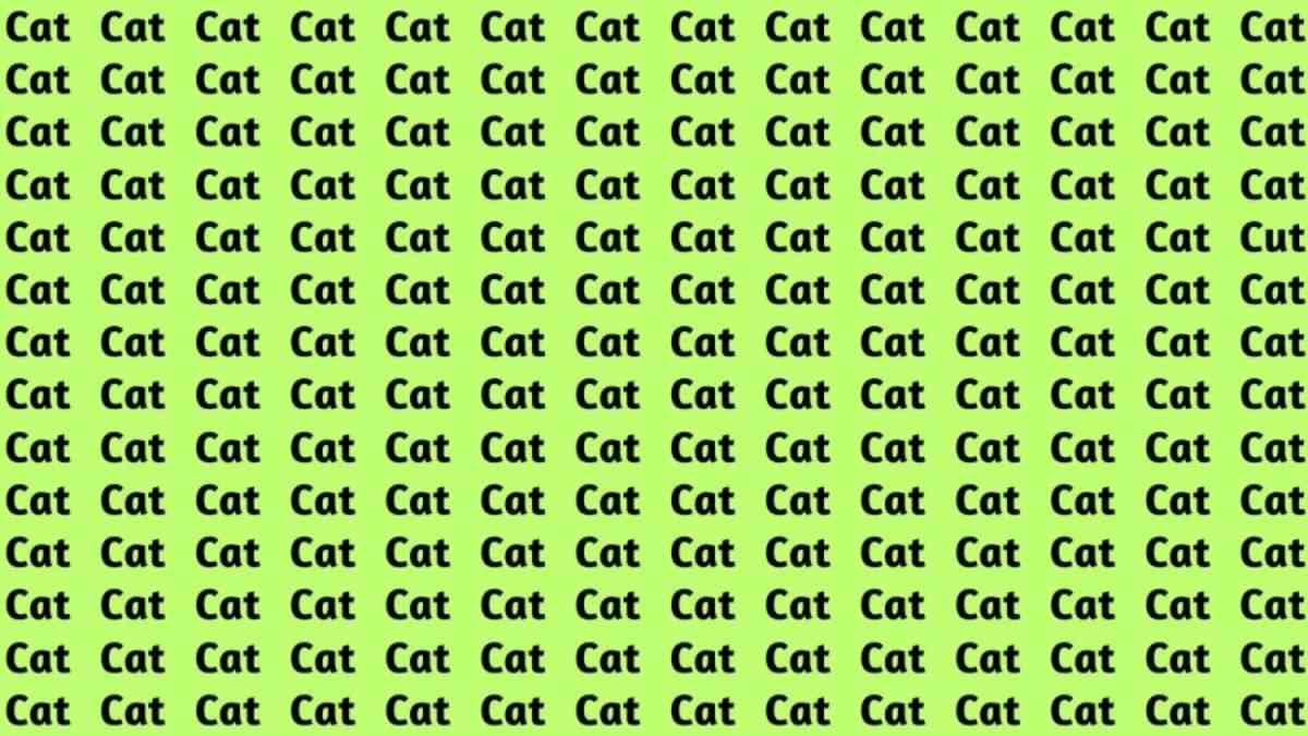 Optical Illusion IQ Test: Can You Spot The Word ‘Cut’ Hidden Among Cats In 5 Seconds?