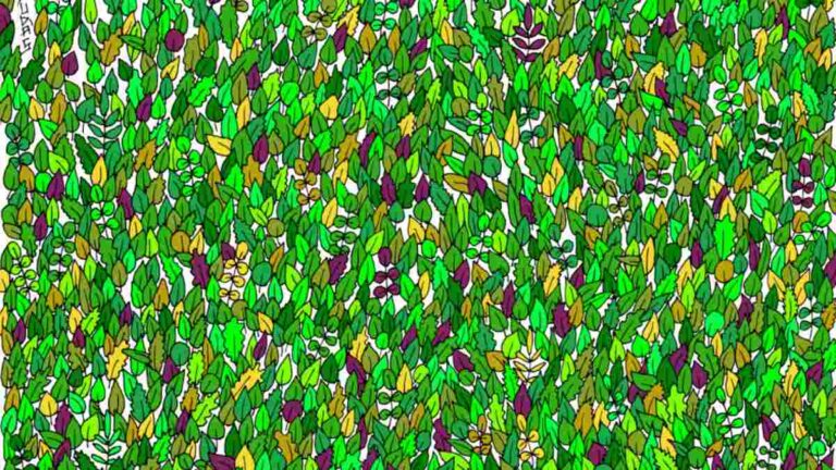 Optical Illusion IQ Test: Only High IQ Minds Can Spot The Frog Among These Leaves In 5 Seconds!