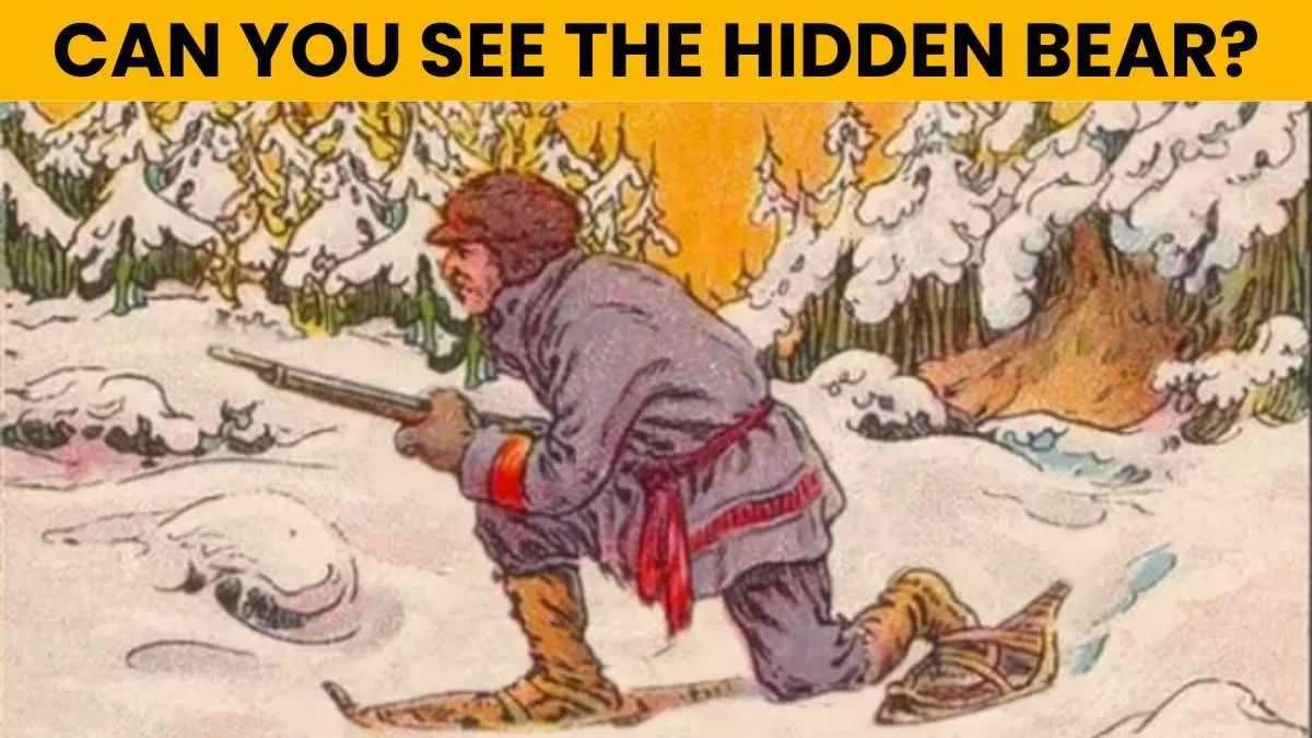 Optical Illusion IQ Test: Only Top 1% With Hawk’s Eyes Can Spot The Bear In 5 Seconds!