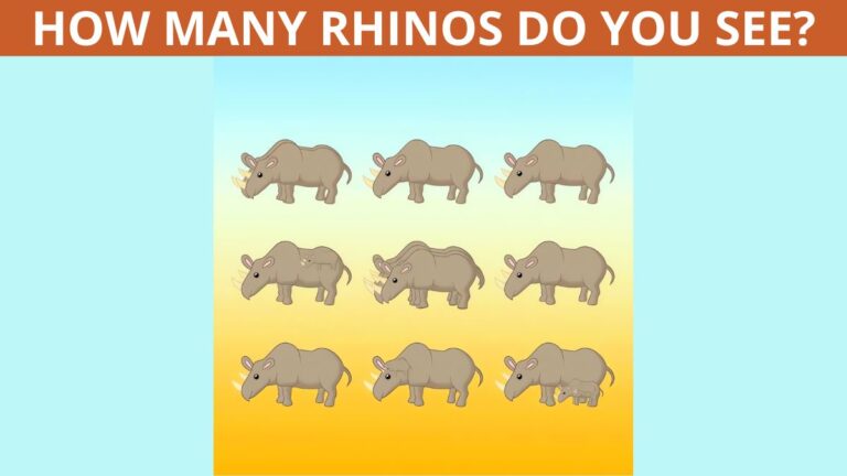 Picture Puzzle Challenge: Can you count how many rhinos are in the picture in 10 seconds?