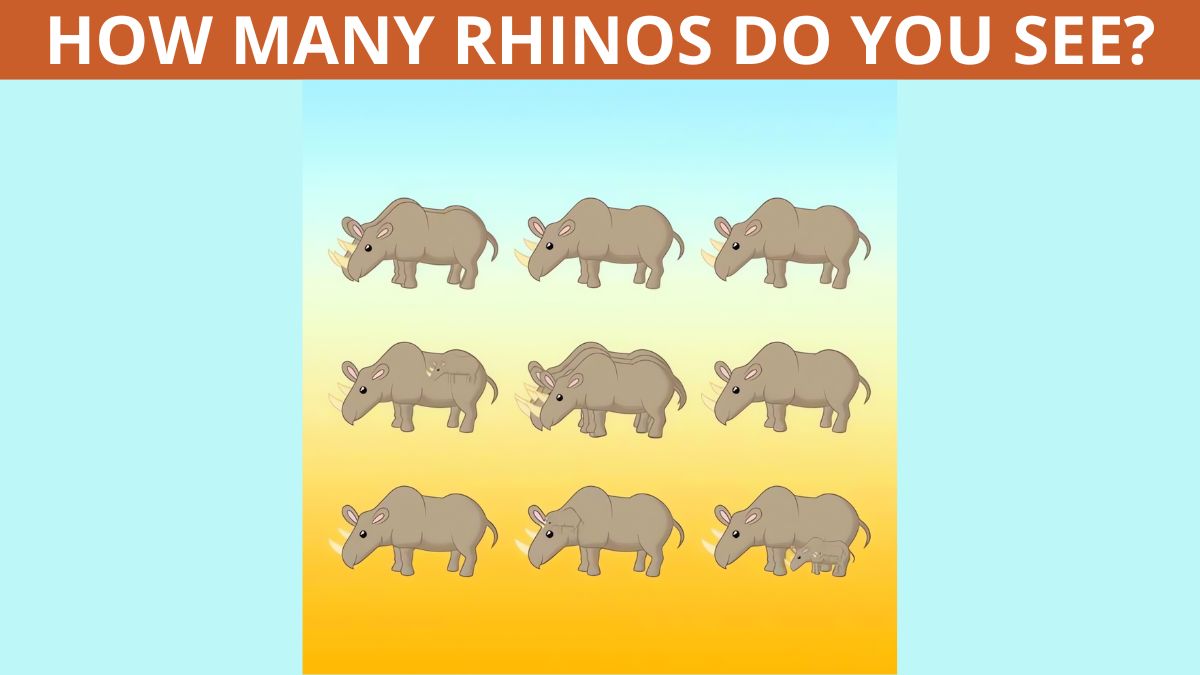 Picture Puzzle Challenge: Can you count how many rhinos are in the picture in 10 seconds?