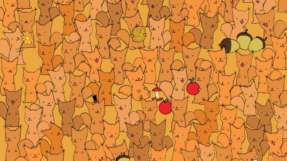 Picture Puzzle IQ Test: Can You Spot The Mouse Among Squirrels In 5 Seconds?