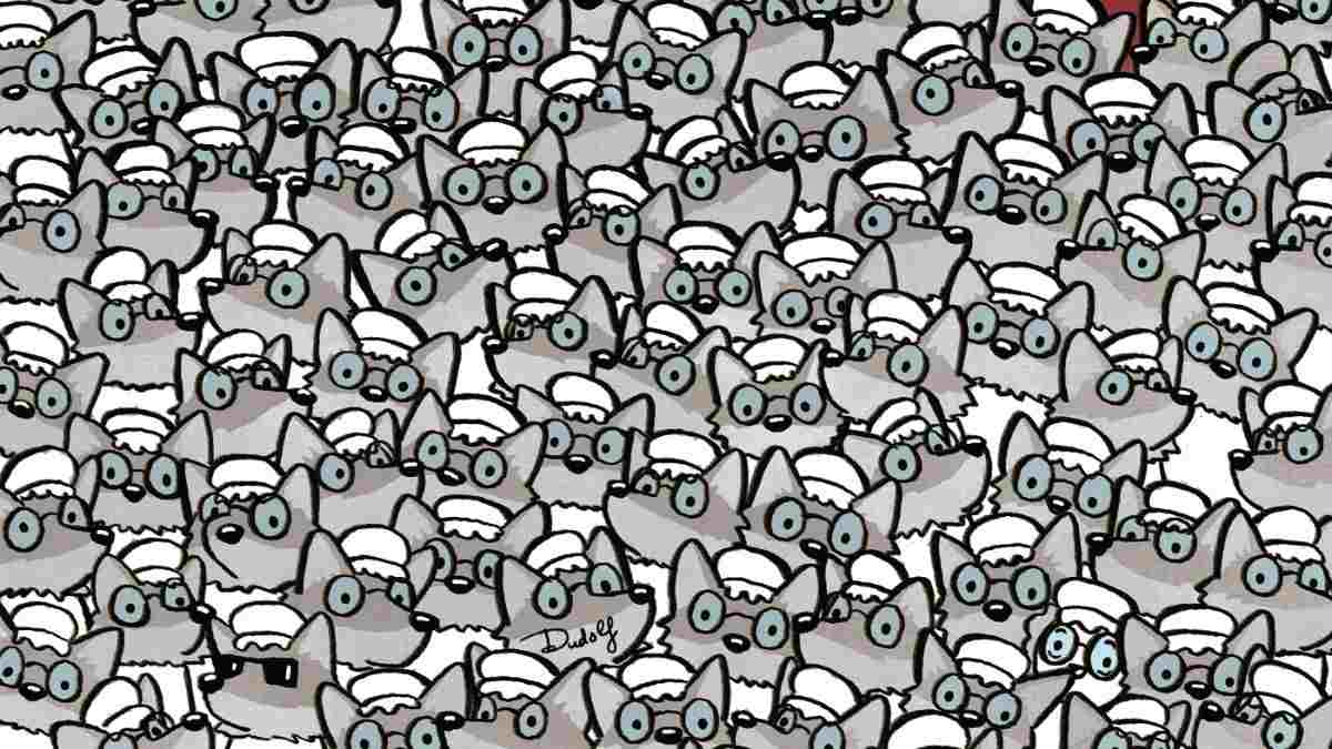 Picture Puzzle IQ Test: Prove Your Observation Skills! Spot The Grandma Hidden Among Wolves In 5 Seconds!