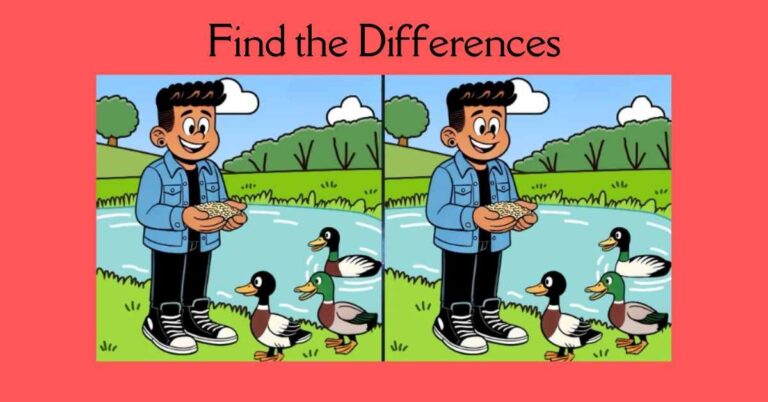 Spot the 3 Differences in Boy Feeding Ducks– Beat the 33-Second Challenge!