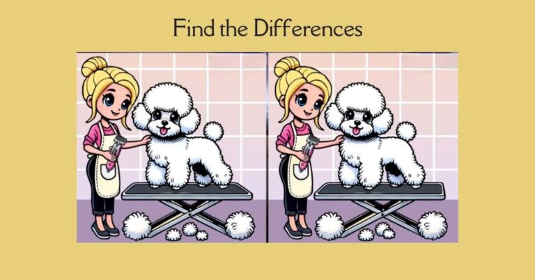 Spot the 3 Differences in Girl Grooming a Dog– Beat the 31-Second Challenge!