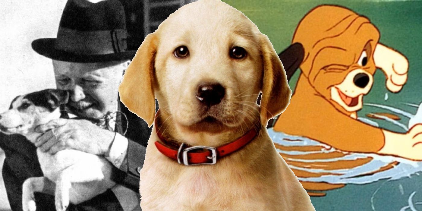 The 25 Saddest Dog Movies Of All Time (For When You Need A Good Cry)