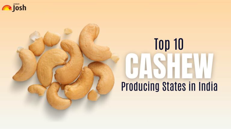 Top 10 Cashew Producing States in India