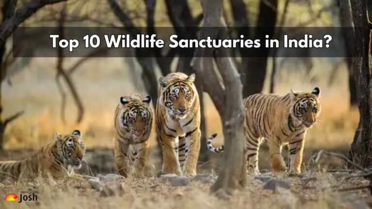 Top 10 Wildlife Sancturies in India