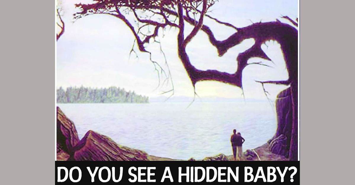 True Detective Alert! Can You Spot the Hidden Baby in Just 9 Seconds? Test Your Observation Skills!