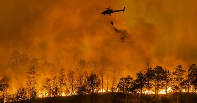 What Causes Wildfires? Understanding the Triggers and Factors