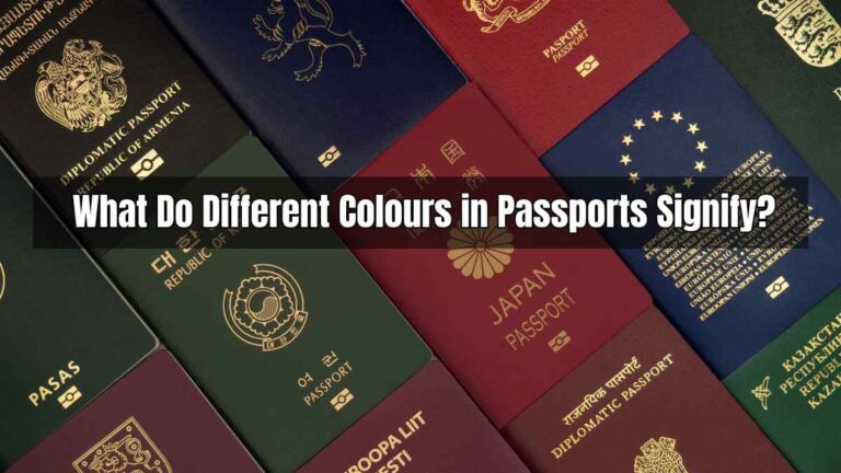 What Do Different Colours in Passports Signify?