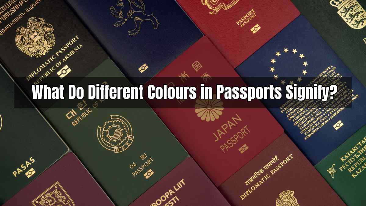 What Do Different Colours in Passports Signify?