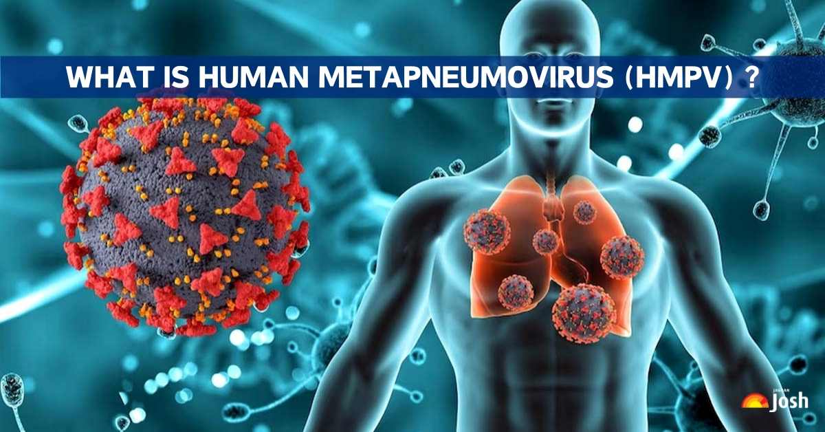 What is Human Metapneumovirus (HMPV)? Check Symptoms, Causes, and Treatment Explained Here