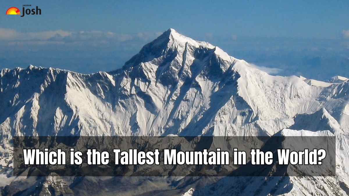 Which is the Tallest Mountain in the World?