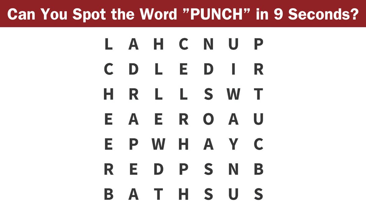 Word Search Puzzle: Can you find the word “PUNCH” in 9 seconds?