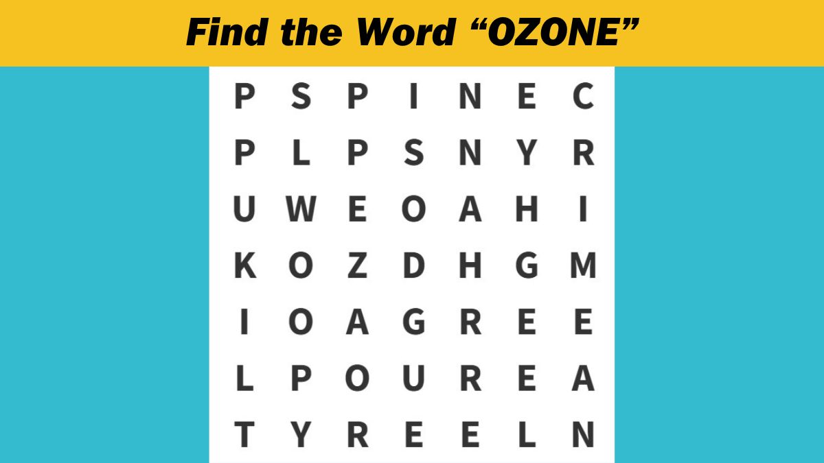 Word Search Puzzle: Find the word ”OZONE” in 7 seconds!