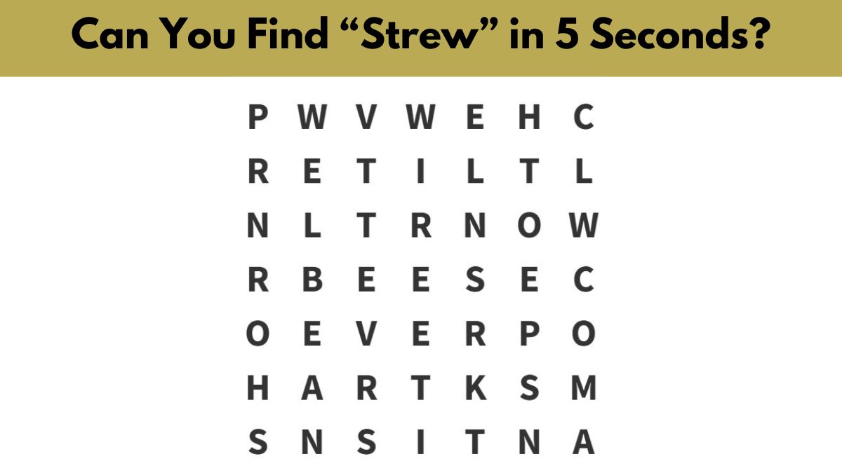 Word Search Puzzle: Find the word ”STREW” in 5 seconds!