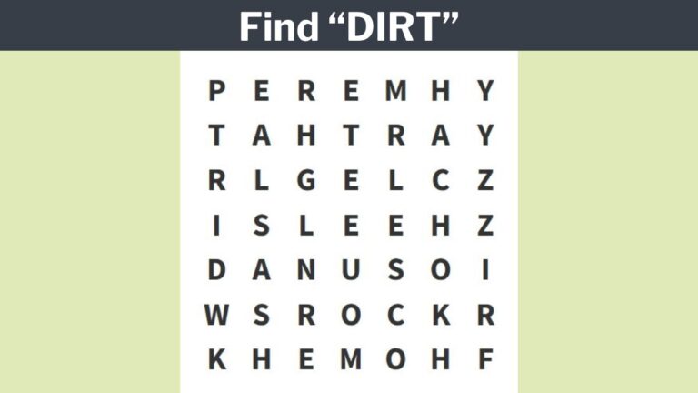 You have sharp eyes if you can find the word ”DIRT” in 6 seconds!