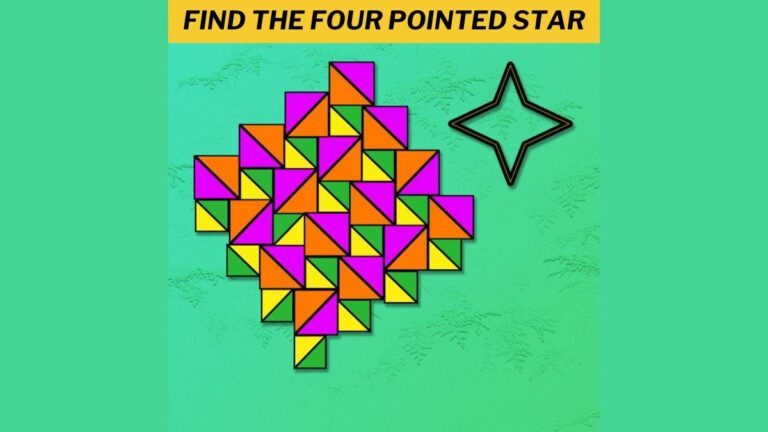 Your mind is as sharp as a supercomputer if you can find the four-pointed star in 5 seconds!