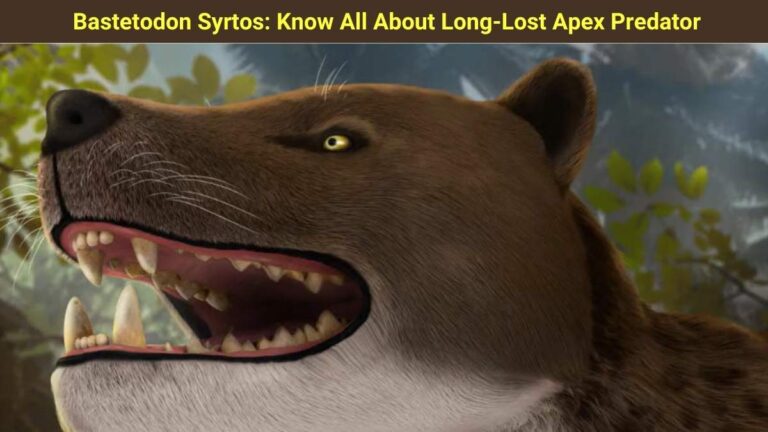 Bastetodon Syrtos: Know All about Long-Lost Apex Predator