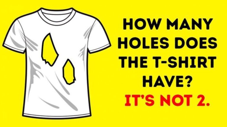 Brain Teaser: Spot How Many Holes Does The T-shirt Have? Only 1% With High IQ Answer Correctly In 5 Seconds!