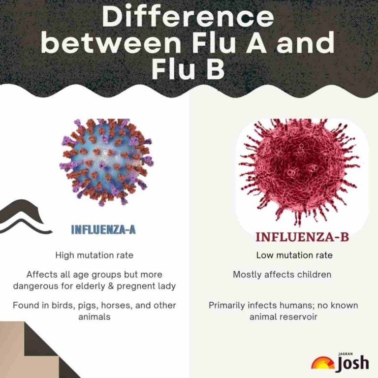 Differences between Flu A and Flu B: Check All Details Here