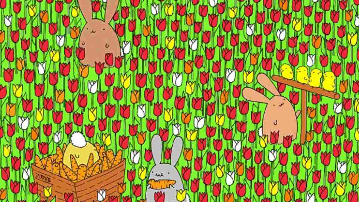 If You Are Visually Sharp, You Will Spot The Hidden Egg In This Picture Puzzle In 5 Seconds!