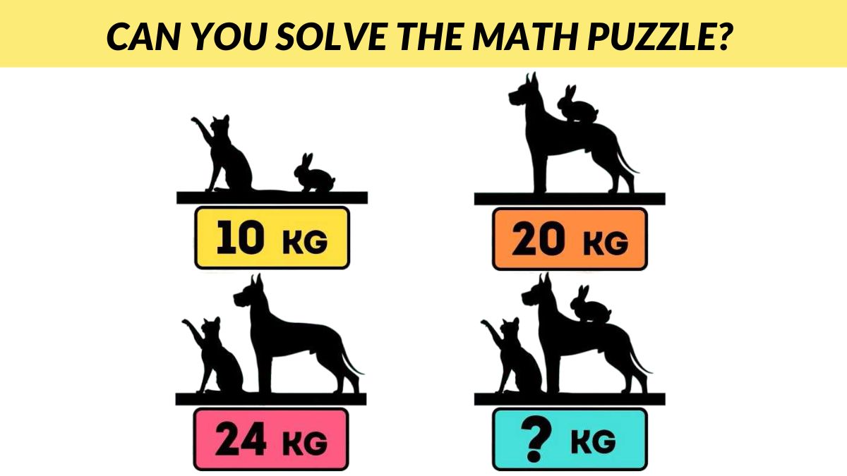 Only 2% of high-IQ geniuses can solve this challenging math puzzle in 6 seconds!