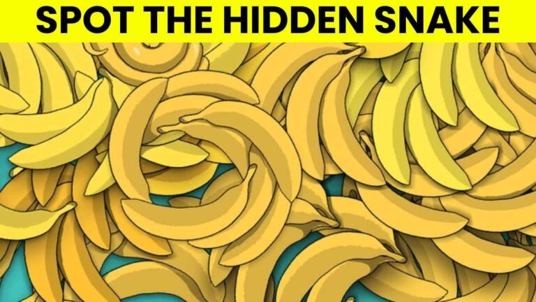 Optical Illusion IQ Test: 99% Fail To Spot The Snake Among the Bananas In 5 Seconds! Can You?