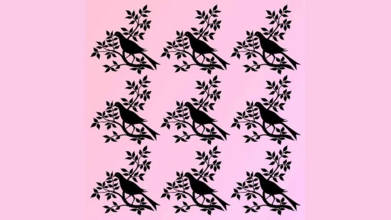 Optical Illusion IQ Test: Find the different bird in 5 seconds!